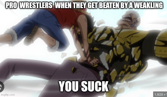 Luffy punch | PRO  WRESTLERS  WHEN THEY GET BEATEN BY A WEAKLING; YOU SUCK | image tagged in luffy punch | made w/ Imgflip meme maker