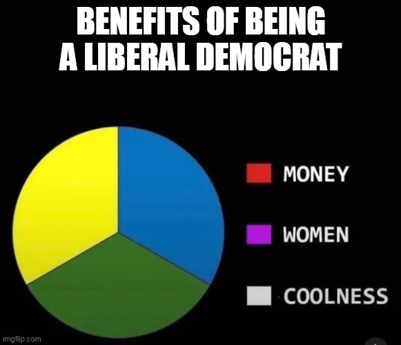 Not a Venn diagram, but still | BENEFITS OF BEING A LIBERAL DEMOCRAT | image tagged in dem graph meme | made w/ Imgflip meme maker