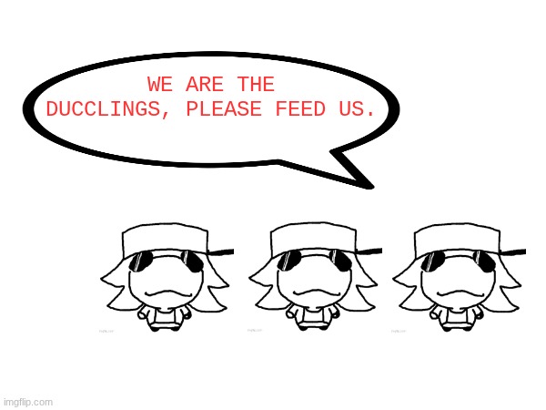 Ducctrio | WE ARE THE DUCCLINGS, PLEASE FEED US. | made w/ Imgflip meme maker