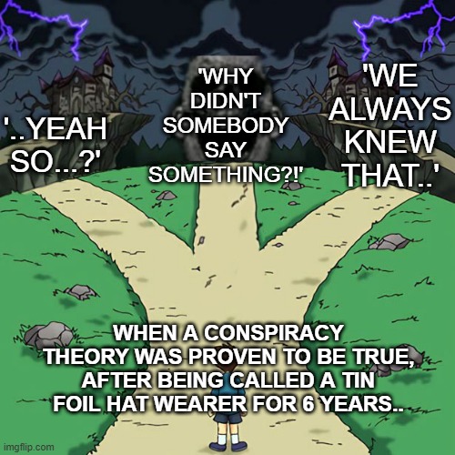 Three paths | '..YEAH SO...?' 'WE ALWAYS KNEW THAT..' 'WHY DIDN'T SOMEBODY SAY SOMETHING?!' WHEN A CONSPIRACY THEORY WAS PROVEN TO BE TRUE, AFTER BEING CA | image tagged in three paths | made w/ Imgflip meme maker