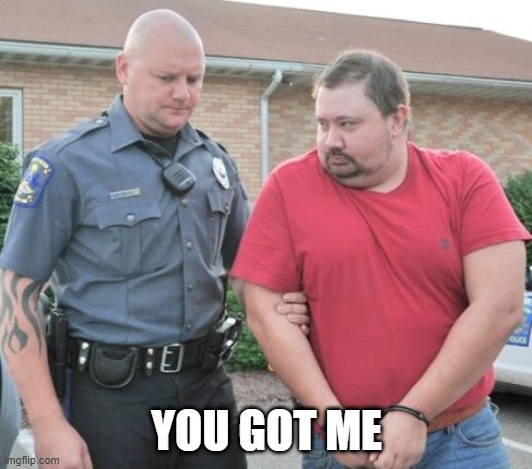 man get arrested | YOU GOT ME | image tagged in man get arrested | made w/ Imgflip meme maker