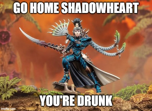 drunk hari | GO HOME SHADOWHEART; YOU'RE DRUNK | image tagged in warhammer40k,warhammer 40k,40k,wh40k,bg3,baldur's gate | made w/ Imgflip meme maker
