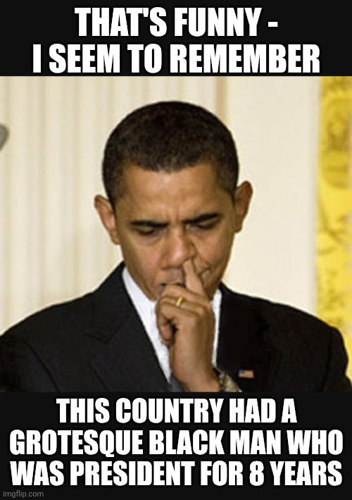 THAT'S FUNNY -
I SEEM TO REMEMBER THIS COUNTRY HAD A GROTESQUE BLACK MAN WHO WAS PRESIDENT FOR 8 YEARS | made w/ Imgflip meme maker