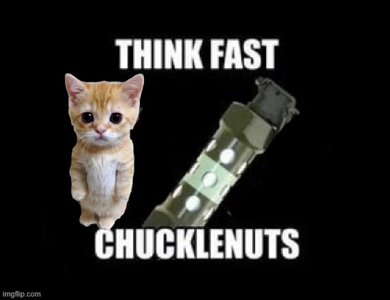 Think fast chucklenuts but the pin is pulled | image tagged in think fast chucklenuts but the pin is pulled | made w/ Imgflip meme maker