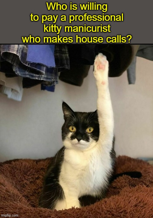 Who is willing to pay a professional kitty manicurist who makes house calls? | made w/ Imgflip meme maker