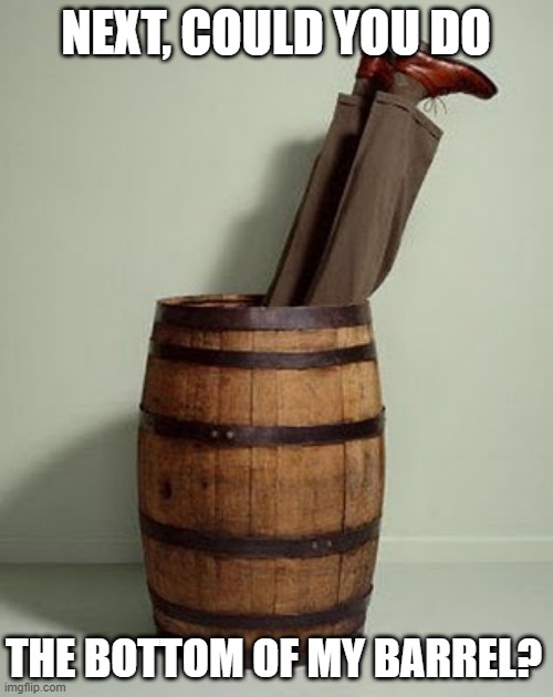 NEXT, COULD YOU DO THE BOTTOM OF MY BARREL? | image tagged in barrel scrape | made w/ Imgflip meme maker