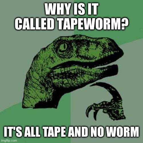 Philosoraptor Meme | WHY IS IT CALLED TAPEWORM? IT'S ALL TAPE AND NO WORM | image tagged in memes,philosoraptor | made w/ Imgflip meme maker