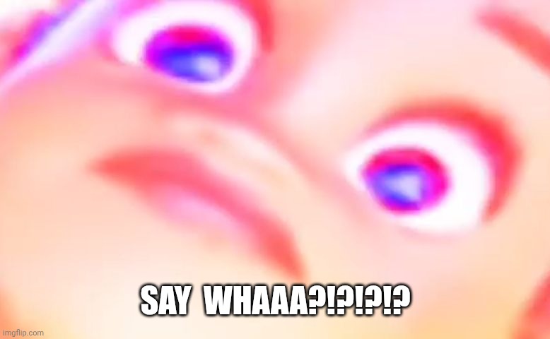 SAY WHAAA?!?!?!? | SAY  WHAAA?!?!?!? | image tagged in funny,reaction | made w/ Imgflip meme maker