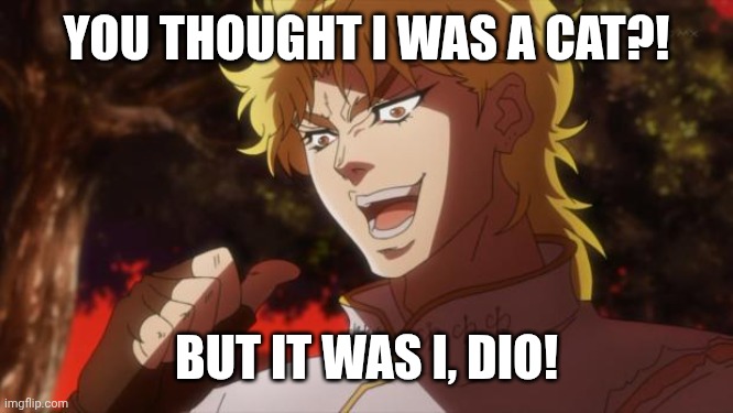 But it was me Dio | YOU THOUGHT I WAS A CAT?! BUT IT WAS I, DIO! | image tagged in but it was me dio | made w/ Imgflip meme maker