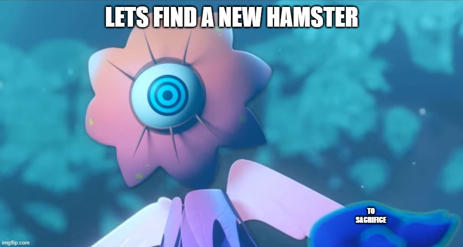 LETS FIND A NEW HAMSTER TO SACRIFICE | made w/ Imgflip meme maker
