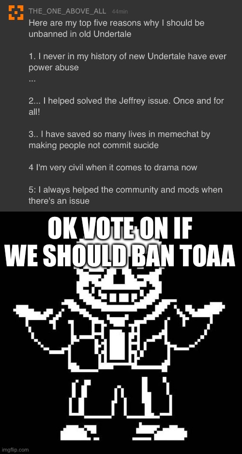OK VOTE ON IF WE SHOULD BAN TOAA | image tagged in sans undertale | made w/ Imgflip meme maker