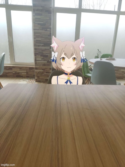 There's a new cat in the office | made w/ Imgflip meme maker