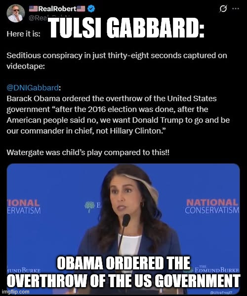 Seditious Conspiracy | TULSI GABBARD:; 0BAMA ORDERED THE OVERTHROW OF THE US GOVERNMENT | image tagged in tulsi gabbrad,0bama order the overthrow of us government | made w/ Imgflip meme maker