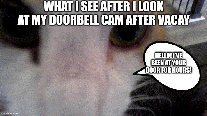 Door cam after vaycay | WHAT I SEE AFTER I LOOK AT MY DOORBELL CAM AFTER VACAY; HELLO! I'VE BEEN AT YOUR DOOR FOR HOURS! | made w/ Imgflip meme maker