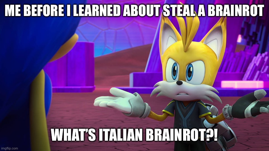 ME BEFORE I LEARNED ABOUT STEAL A BRAINROT WHAT’S ITALIAN BRAINROT?! | image tagged in nine shrug | made w/ Imgflip meme maker