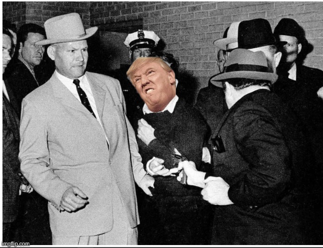 Ruby MAGA ! | image tagged in ruby,trump | made w/ Imgflip meme maker