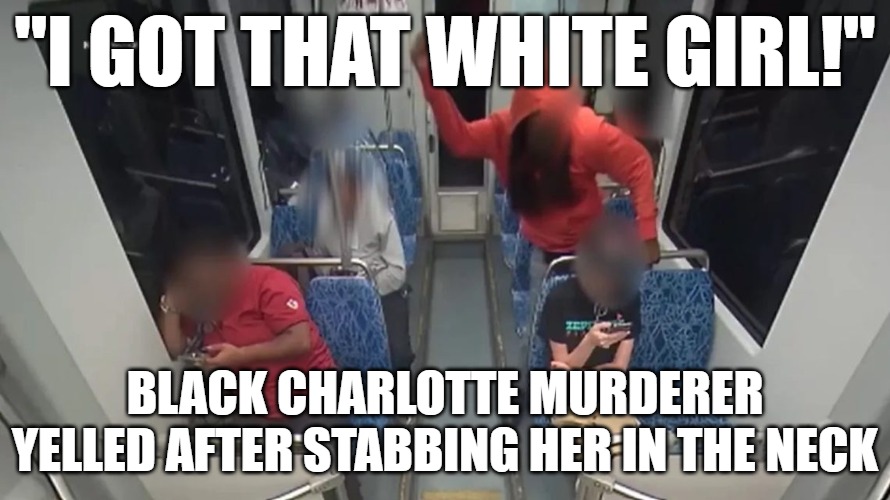 Yes, this was a hate crime. That's why the mainstream media refused to cover it until it was unavoidable. | "I GOT THAT WHITE GIRL!"; BLACK CHARLOTTE MURDERER YELLED AFTER STABBING HER IN THE NECK | image tagged in charlotte,murderer,black,crime | made w/ Imgflip meme maker