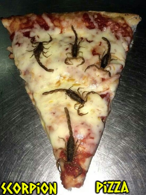 Scorpion pizza | Pizza; Scorpion | image tagged in scorpion,pizza,gross,nasty food,yuck,what the f k did you just bring upon this cursed land | made w/ Imgflip meme maker