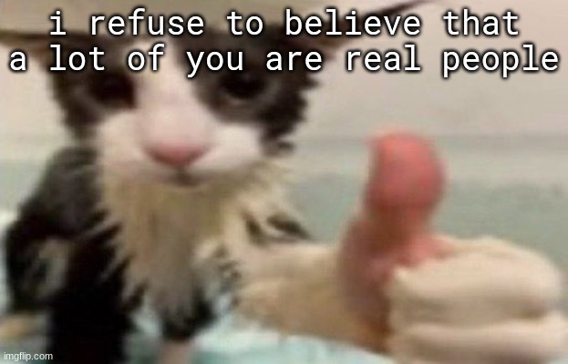 ​ | i refuse to believe that a lot of you are real people | image tagged in soggy cat thumbs up | made w/ Imgflip meme maker