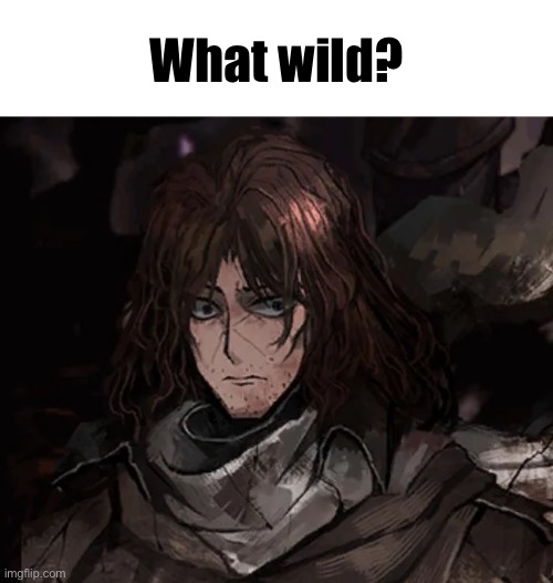 How wild… | What wild? | image tagged in how wild | made w/ Imgflip meme maker