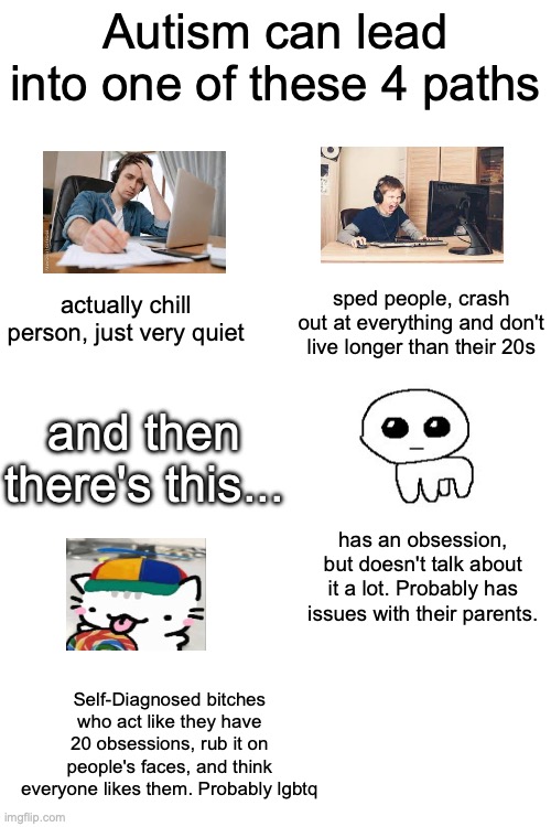 Autism can lead into one of these 4 paths; actually chill person, just very quiet; sped people, crash out at everything and don't live longer than their 20s; and then there's this... has an obsession, but doesn't talk about it a lot. Probably has issues with their parents. Self-Diagnosed bitches who act like they have 20 obsessions, rub it on people's faces, and think everyone likes them. Probably lgbtq | image tagged in msmg | made w/ Imgflip meme maker