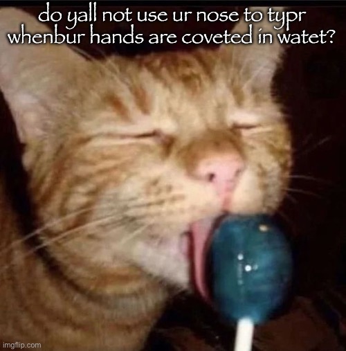 tis thr inly timr ill use ur. | do yall not use ur nose to typr whenbur hands are coveted in watet? | image tagged in silly goober 2 | made w/ Imgflip meme maker