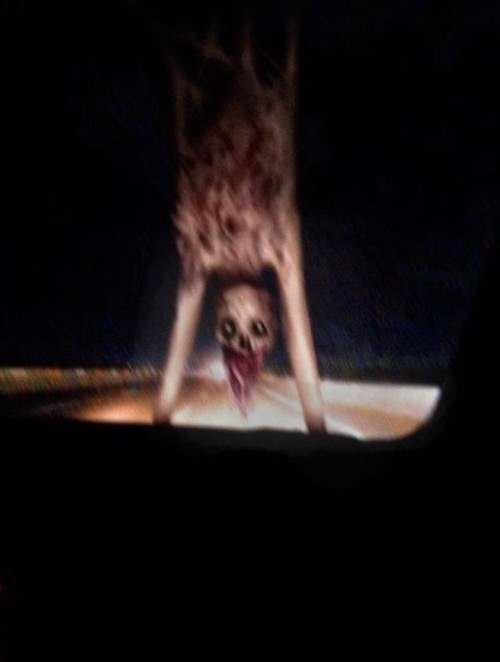 Time To Die | image tagged in time to die,demon,high-pitched demonic screeching,horror,cursed image,scary | made w/ Imgflip meme maker