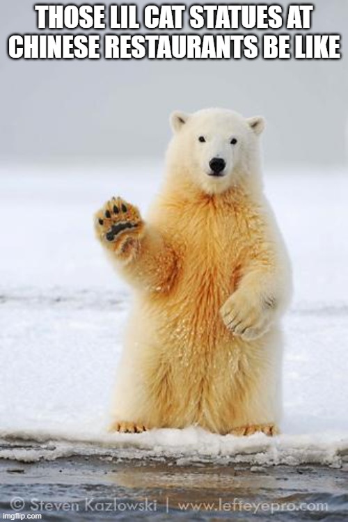 hello polar bear | THOSE LIL CAT STATUES AT CHINESE RESTAURANTS BE LIKE | image tagged in hello polar bear | made w/ Imgflip meme maker