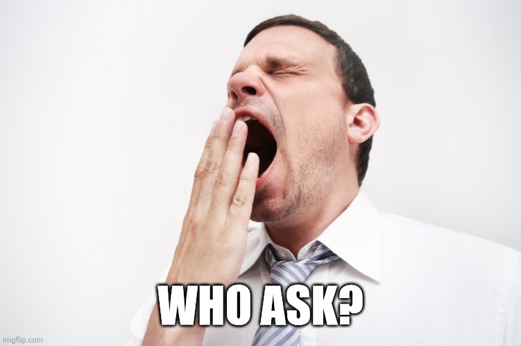 yawn | WHO ASK? | image tagged in yawn | made w/ Imgflip meme maker