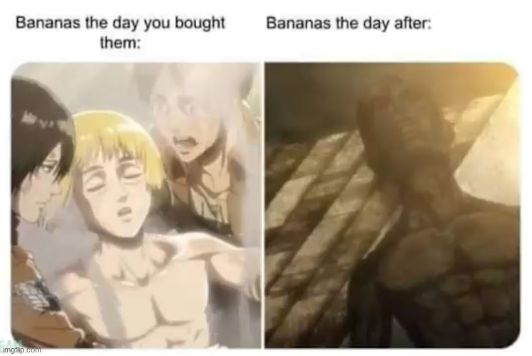 image tagged in aot,armin | made w/ Imgflip meme maker