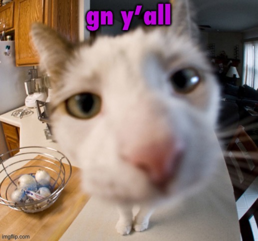 he | gn y’all | image tagged in he | made w/ Imgflip meme maker
