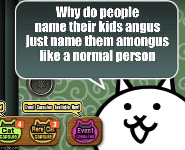 The basic cat says something | Why do people name their kids angus just name them amongus like a normal person | image tagged in the basic cat says something | made w/ Imgflip meme maker