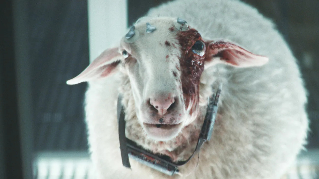 Alien Earth Sheep Blank Meme Template