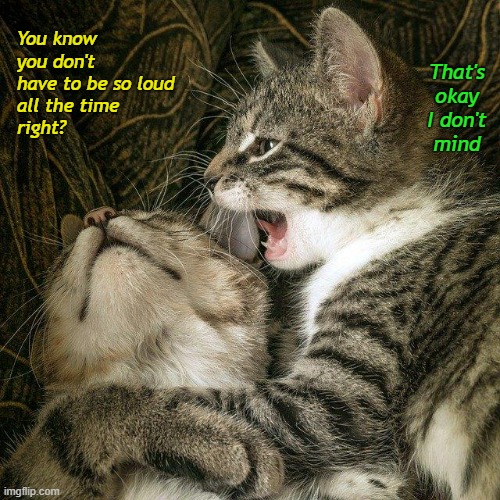 Missed communiCATion | That's okay
I don't mind; You know you don't have to be so loud
all the time
right? | image tagged in funny cat memes | made w/ Imgflip meme maker