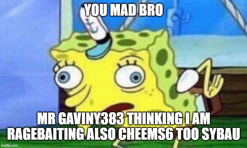 spongebob stupid | YOU MAD BRO MR GAVINY383 THINKING I AM RAGEBAITING ALSO CHEEMS6 TOO SYBAU | image tagged in spongebob stupid | made w/ Imgflip meme maker