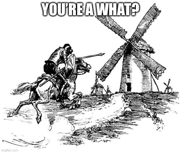 Don Quixote | YOU’RE A WHAT? | image tagged in don quixote | made w/ Imgflip meme maker