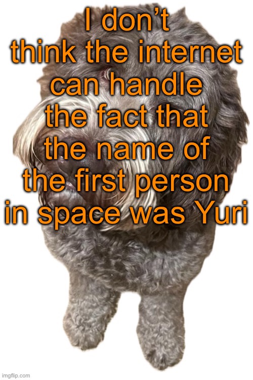 Norther's dog | I don’t think the internet can handle the fact that the name of the first person in space was Yuri | image tagged in norther's dog | made w/ Imgflip meme maker
