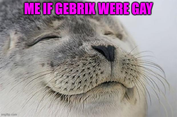 Satisfied Seal | ME IF GEBRIX WERE GAY | image tagged in satisfied seal | made w/ Imgflip meme maker