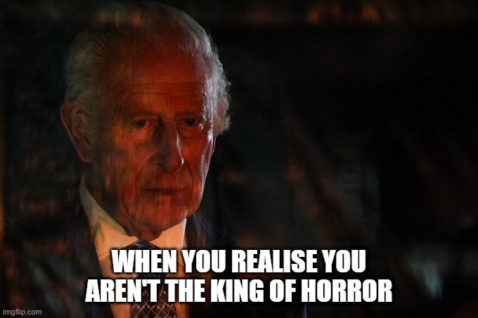 King Charles vs Stephen King | WHEN YOU REALISE YOU AREN'T THE KING OF HORROR | image tagged in when you realize | made w/ Imgflip meme maker