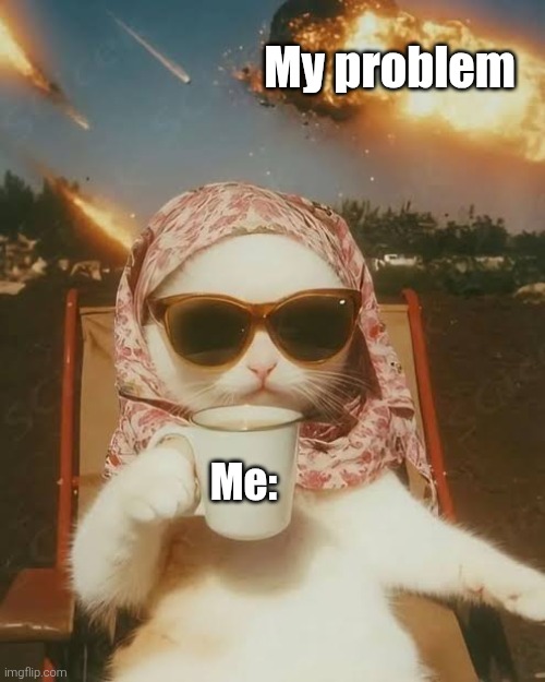 Hijabi cat problem | My problem; Me: | image tagged in cat,hijabi,stoic | made w/ Imgflip meme maker