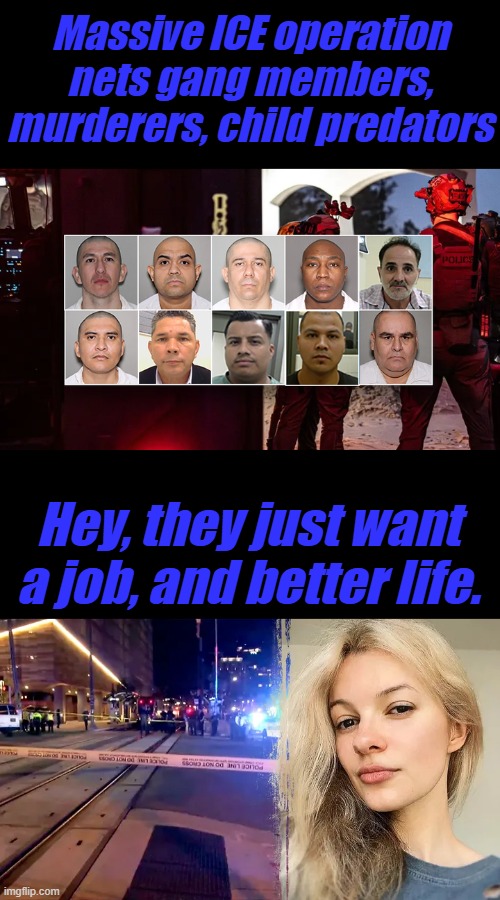 Massive ICE operation nets gang members, murderers, child predators; Hey, they just want a job, and better life. | made w/ Imgflip meme maker
