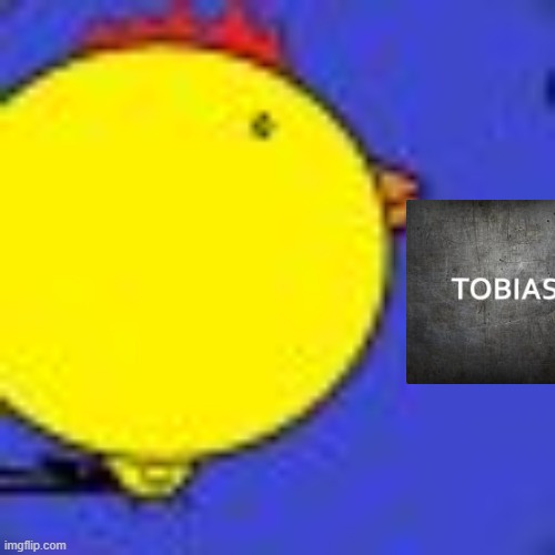 My new meme | image tagged in 98098n | made w/ Imgflip meme maker