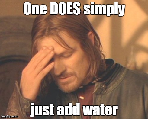 Frustrated Boromir Meme | One DOES simply just add water | image tagged in memes,frustrated boromir | made w/ Imgflip meme maker