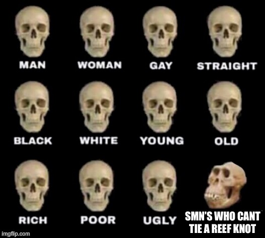 idiot skull | SMN’S WHO CANT TIE A REEF KNOT | image tagged in idiot skull | made w/ Imgflip meme maker