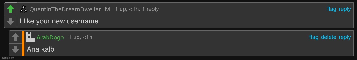 Ana kalb | image tagged in ana kalb | made w/ Imgflip meme maker