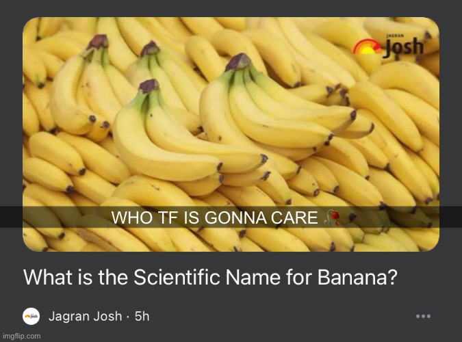 WHO TF IS GONNA CARE 🥀 | made w/ Imgflip meme maker