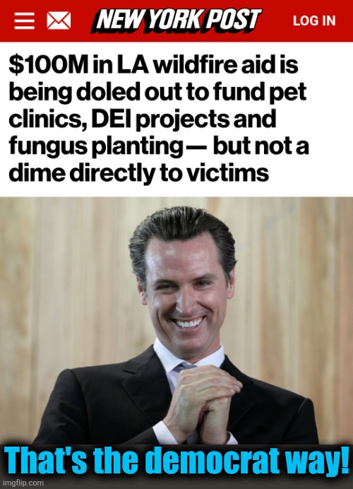 The response to a disaster fueled by DEI: even MORE DEI! | That's the democrat way! | image tagged in scheming gavin newsom,memes,los angeles,wildfires,financial aid,democrats | made w/ Imgflip meme maker
