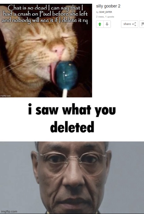 image tagged in i saw what you deleted | made w/ Imgflip meme maker