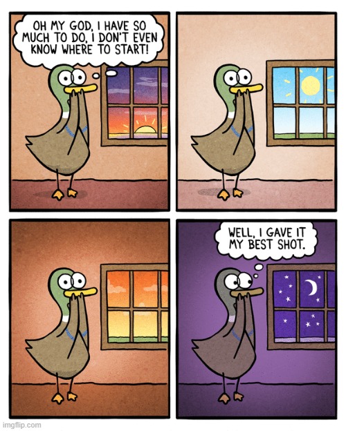 Fowl Language | image tagged in comics | made w/ Imgflip meme maker