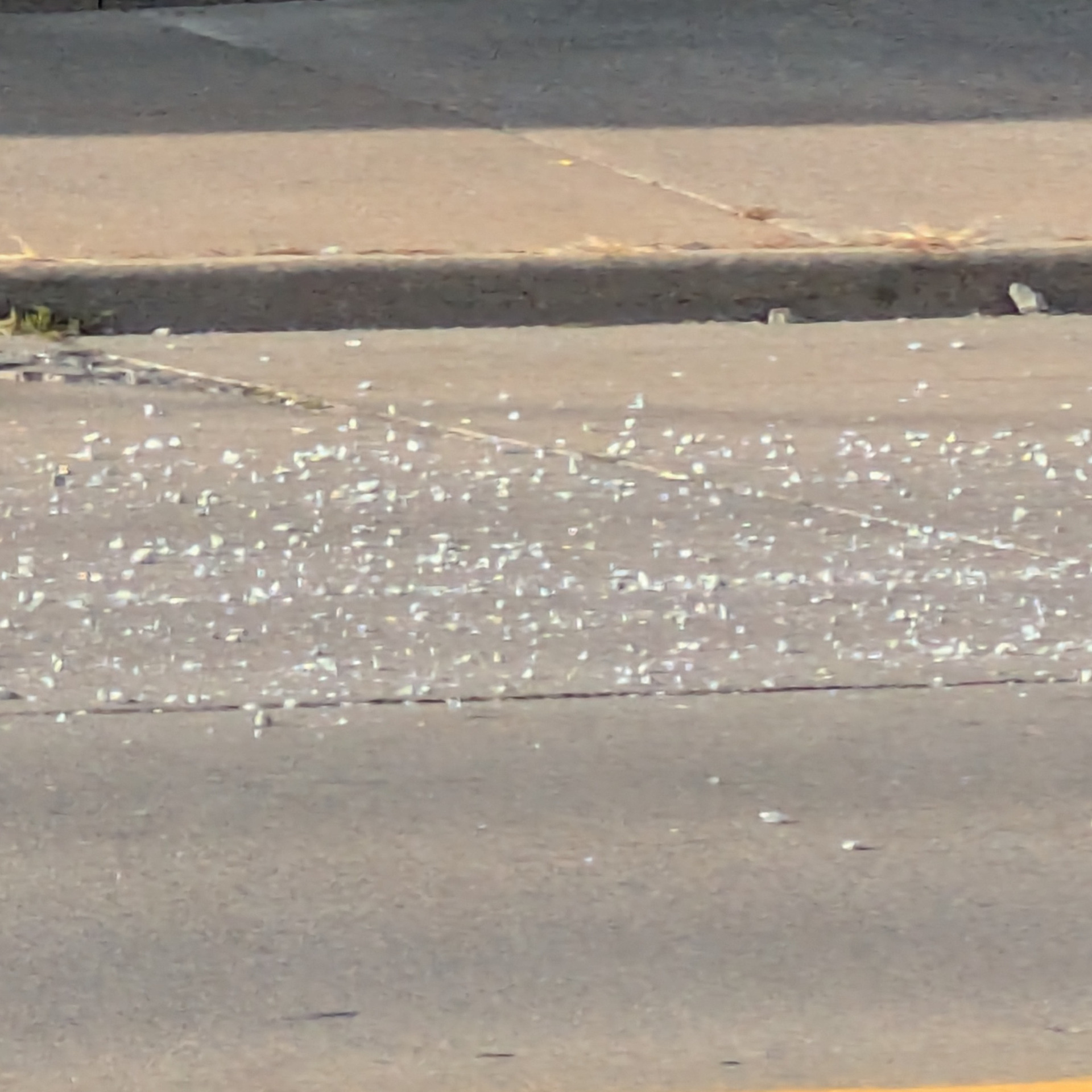 SICILIAN HITMAN Blank Meme Template